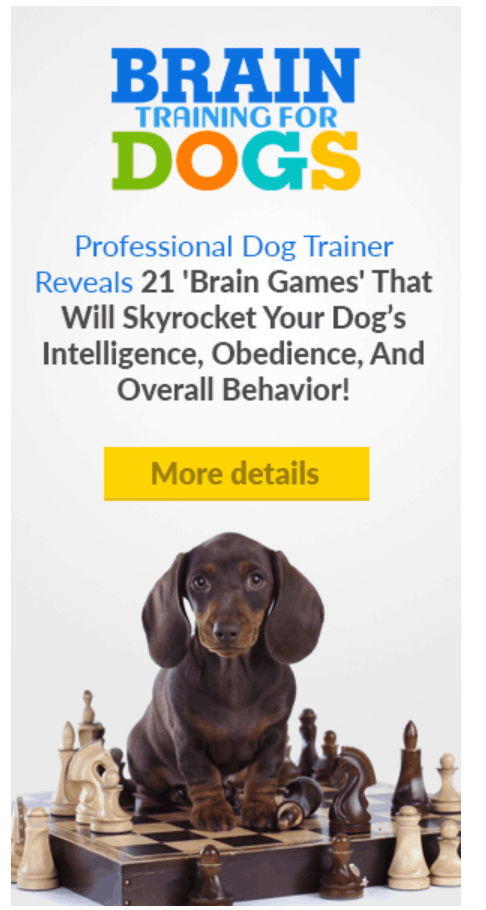 Brain Training For Dogs