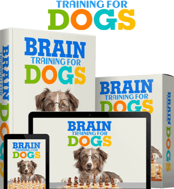 Brain Training For Dogs